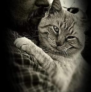 Meet your Posher, Tom